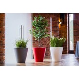 Verlichte Bloempot LED Wit 50 cm Hoog Polyethyleen