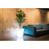Verlichte Bloempot LED Wit 50 cm Hoog Polyethyleen