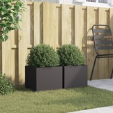 vidaXL Plantenbakken Staal Zwart (2 stuks) - 29% Korting!