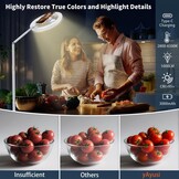 Ring Licht met Stand Statief