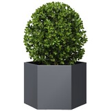 vidaXL Plantenbak zeshoek 69x60x45 cm staal antracietkleurig