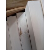 vidaXL Bedframe massief grenenhout wit 150x200 cm