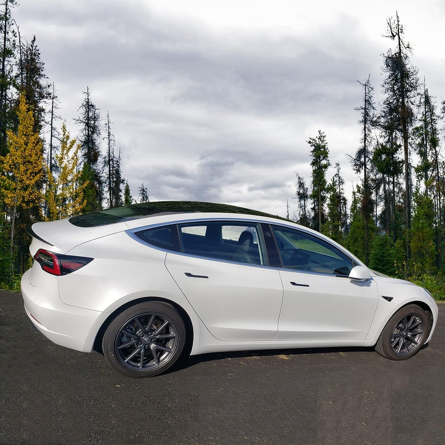 Glinsterzwarte ABS Achterspoiler (57% Korting) voor Tesla Model 3 (2018-2023)