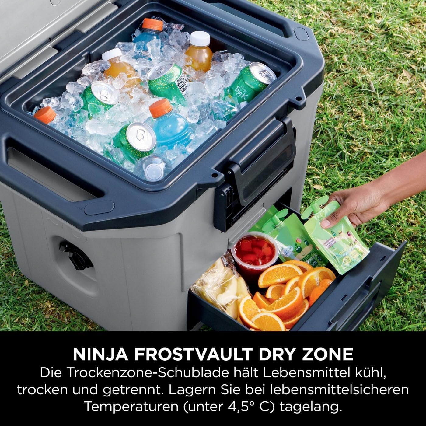 Ninja FrostVault Koelbox 28 Liter - Slate Grey - Houdt ijs tot 5 dagen koel