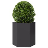 Zeshoekige Plantenbak Staal Zwart - 46x40x45 cm - 59% Korting!
