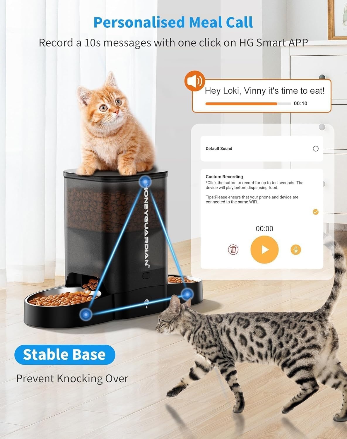 HoneyGuaridan Automatic Cat Feeder, 2 Bowls with Motion Sensor, 5G/2.4G WiFi Intelligent Cat Feeder for Remote Feeding, 5 L