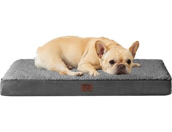 EHEYCIGA Orthopedisch Hondenbed voor Kleine Honden, Wasbaar Pluizig Hondenkussen, Hondermat met Afneembare Hoes voor Bench