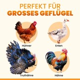 Automatisch Kippenhokdeurtje XL Zonne-energie - Zwart - 53% Korting