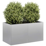 Robuuste Plantenbak van Gegalvaniseerd Staal (80x40x40 cm) - 62% Korting!