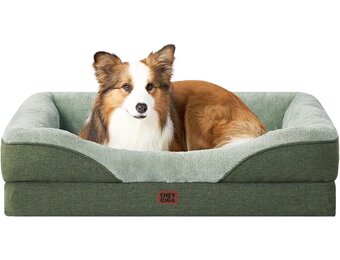 EHEYCIGA Orthopedisch Hondenbed Middelgrote Honden, Memory Foam Wasbaar en Waterdicht Hondenmand met 4 Randen, Hondenbank Hondenbank Antislip, Groen, 91x68x17.5 cm