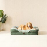 Orthopedisch Hondenbed Groen 91x68 cm - 61% Korting!