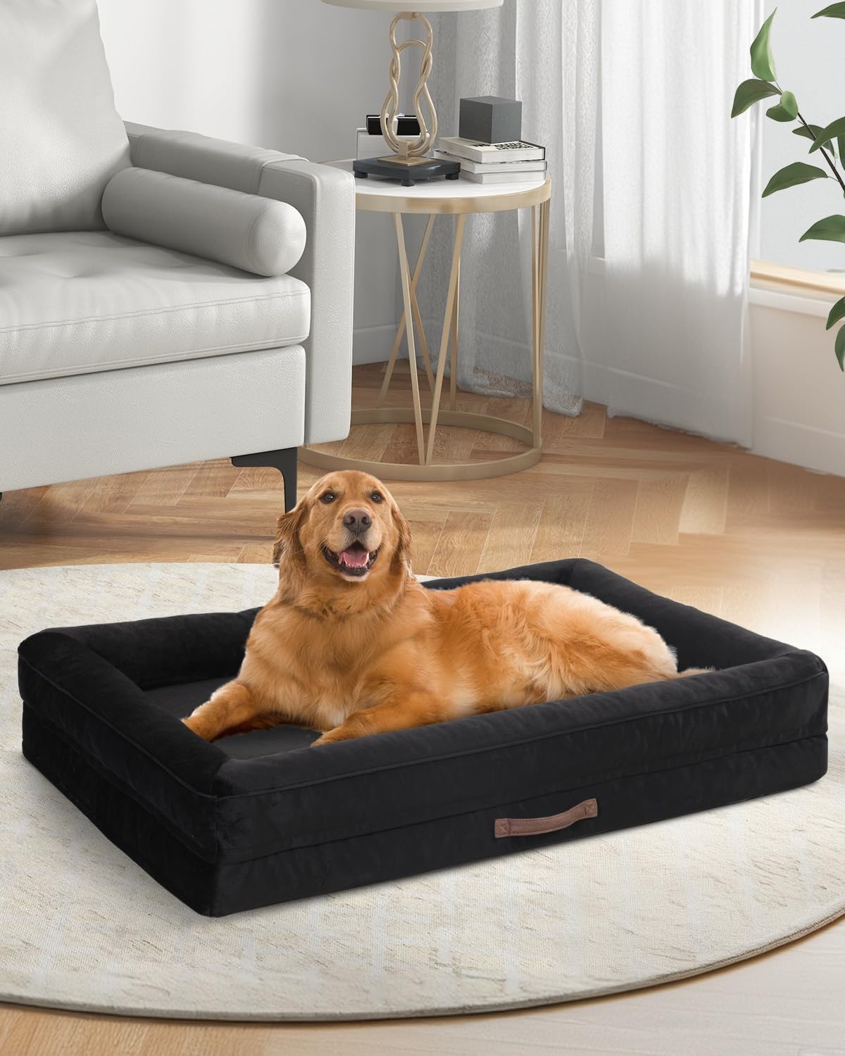 Orthopedisch hondenbed, groot, waterdicht, huisdierslaapbank met antislip bodem en vierzijdig steunkussen, eierschuim hondenbank met afneembare wasbare hoes, zwarte grote hondenbedden