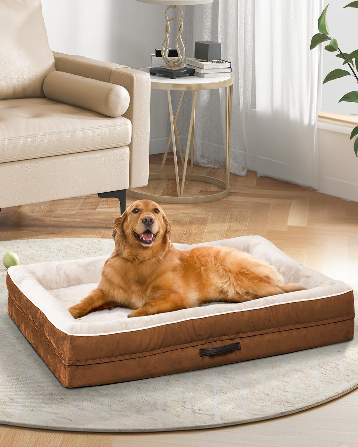 Orthopedisch hondenbed, groot, waterdicht, huisdierslaapbank met antislip bodem en vierzijdig steunkussen, eierschuim hondenbank met afneembare wasbare hoes, zwarte grote hondenbedden
