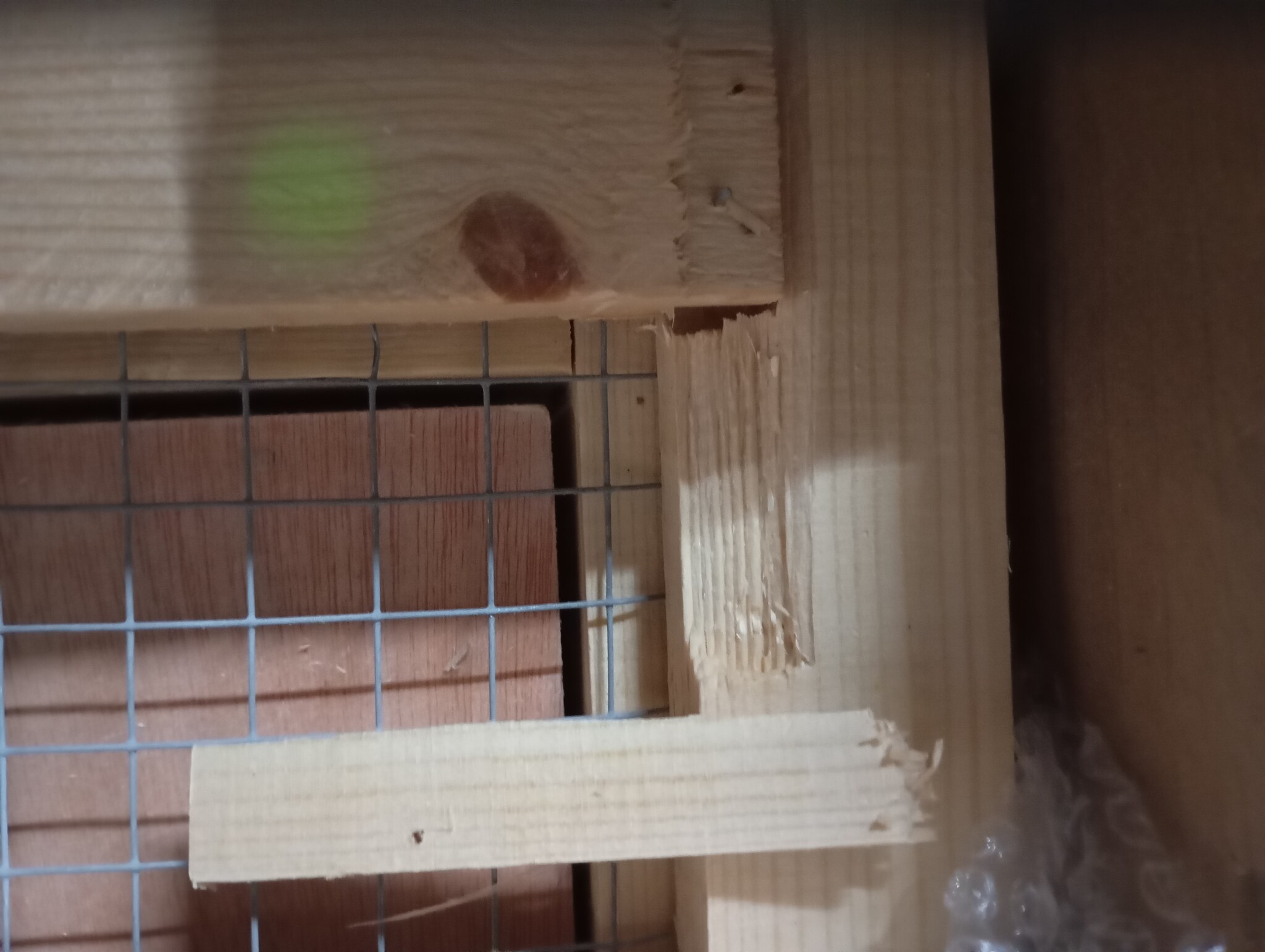 vidaXL Hamsterkooi 104x52x38 cm massief vurenhout