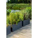 Hoge Plantenbak 90cm Antraciet - Binnen & Buiten - 61% Korting
