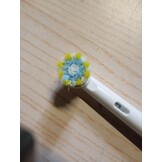 Elektrische Tandenborstel Pro - 59% Korting