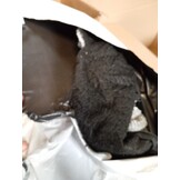 4-Tredige Hondentrap voor Kleine Honden & Katten - 62% Korting!