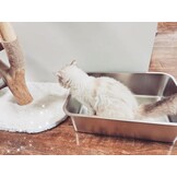 IKITCHEN Roestvrijstalen kattenbak, grote metalen kattenbak voor katten en konijnen, absorbeert nooit geuren, vlekvrij, roestvrij, plakt niet glad oppervlak, antislip rubberen bodem, 40 cm L x 33 cm B