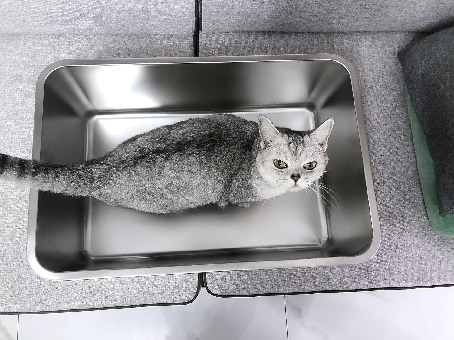 IKITCHEN Roestvrijstalen kattenbak, grote metalen kattenbak voor katten en konijnen, absorbeert nooit geuren, vlekvrij, roestvrij, plakt niet glad oppervlak, antislip rubberen bodem, 40 cm L x 33 cm B
