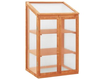 vidaXL Broeikas 60x45x100 cm vurenhout