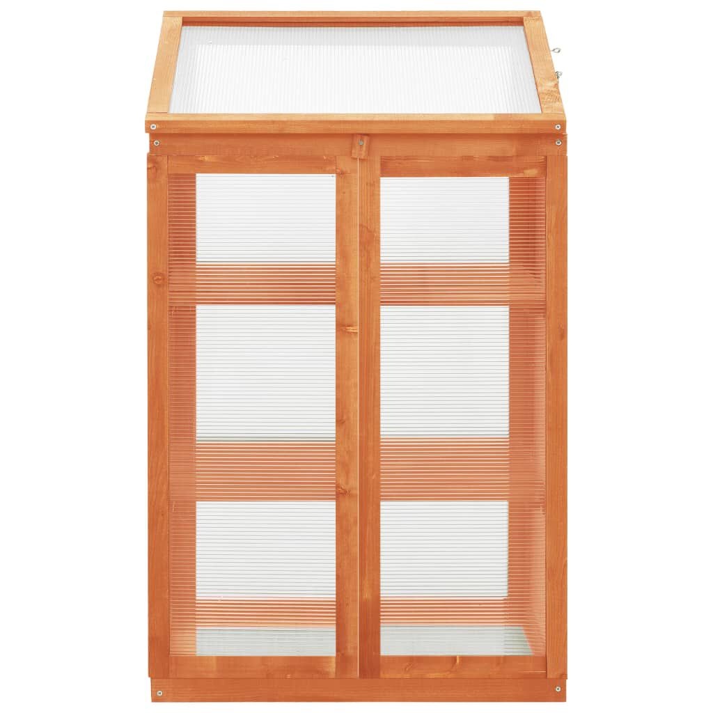 vidaXL Broeikas 60x45x100 cm vurenhout