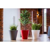Verlichte Hoge Bloempot Wit Polyethyleen (50x50x60 cm) - 34% Korting