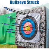 12Pcs 30" Carbon Archery Arrows, Spine Matched for Hunting & Target Practice with Compound & Recurve Bows, Carbon Shaft and Removable Tips