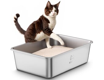Grote Kattenbak van Roestvrij Staal, Open XXL Kattenbak, Metalen Kattenbakken voor Katten van Alle Maten en Konijnen, met Antiaanbaklaag, Geurvrij en Gemakkelijk Schoon te Maken, 60x40x20cm