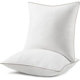 BedStory Bamboevezelkussen, bamboevezel, 60 x 60 cm, 2 stuks met afneembare kussenslopen, anti-allergische kussens met vulling, 10% 7D en 90% 3D-vezel, polyester, kussen, hotelkwaliteit