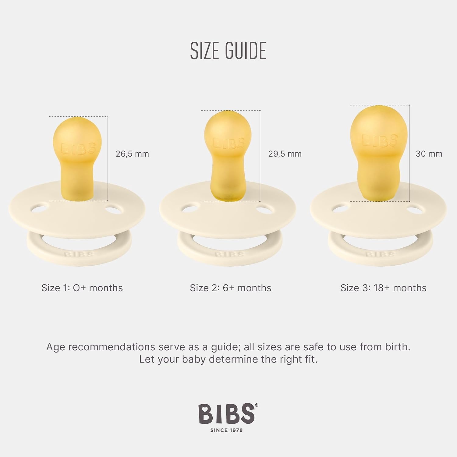 BIBS Fopspeen Maat 1 | 0-6 mnd | Sage Glow Mix | 4 stuks | -33%