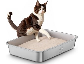 Roestvrij Staal Kattenbak XXL 50x35x10cm - 32% Korting