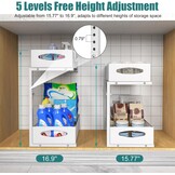 2-Laags Uitschuifbare Kast Organizer 44,5cm Wit - 33% Korting