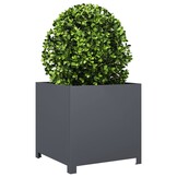 vidaXL Plantenbak 50x50x50 cm staal antracietkleurig