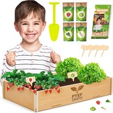 Garden Set for Kids, Plants to Grow, Ready to Grow, Mini Indoor Vegetable Garden, Plant Set, Vegetable Seed, Set for Kids with 4 Types of Seeds