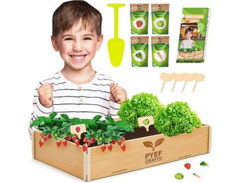 Garden Set for Kids, Plants to Grow, Ready to Grow, Mini Indoor Vegetable Garden, Plant Set, Vegetable Seed, Set for Kids with 4 Types of Seeds