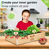 Garden Set for Kids, Plants to Grow, Ready to Grow, Mini Indoor Vegetable Garden, Plant Set, Vegetable Seed, Set for Kids with 4 Types of Seeds