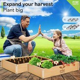 Garden Set for Kids, Plants to Grow, Ready to Grow, Mini Indoor Vegetable Garden, Plant Set, Vegetable Seed, Set for Kids with 4 Types of Seeds