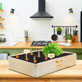 Garden Set for Kids, Plants to Grow, Ready to Grow, Mini Indoor Vegetable Garden, Plant Set, Vegetable Seed, Set for Kids with 4 Types of Seeds