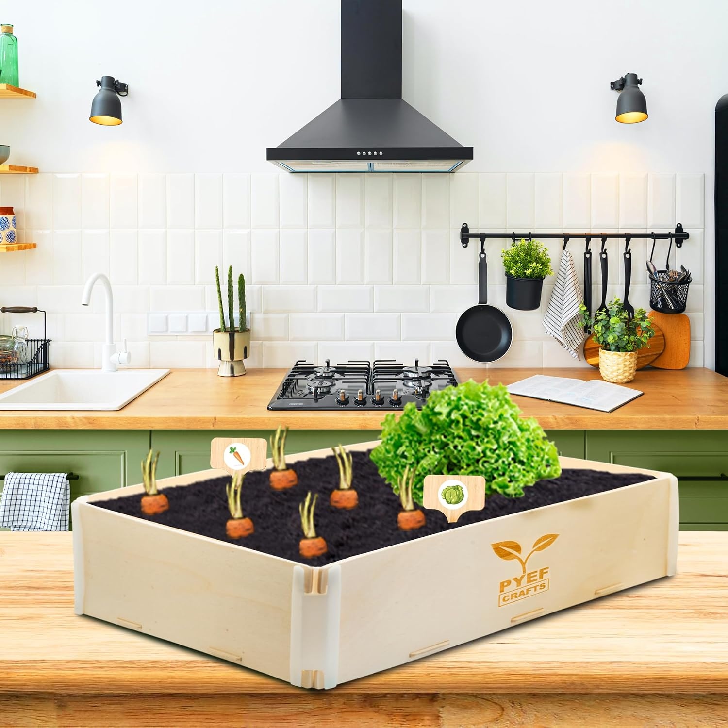 Garden Set for Kids, Plants to Grow, Ready to Grow, Mini Indoor Vegetable Garden, Plant Set, Vegetable Seed, Set for Kids with 4 Types of Seeds