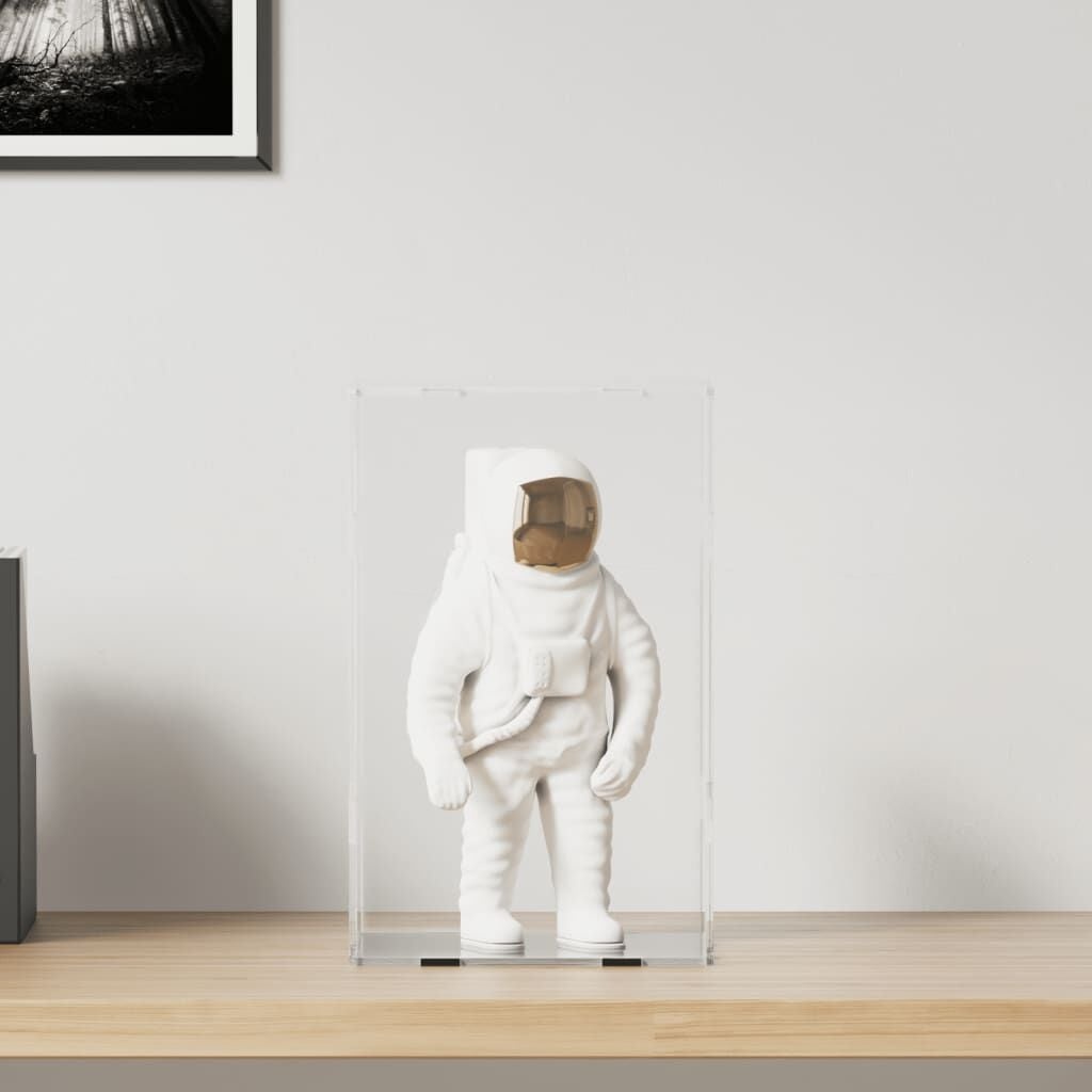 VidaXL Vitrine Acryl Transparant Zwart 22x18x35 cm met 73% Korting