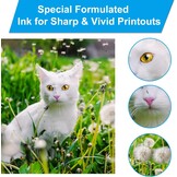 4-Pack 32XL Inktflessen (165ml Zwart, 100ml Kleur) - 54% Korting!