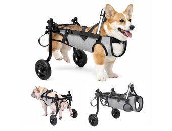 Dog Wheelchair for Rear Legs, Adjustable Mobility Aid Trolley with Breathable Mesh & Safety Buckles, Lightweight Aluminium Frame for Small Dogs/Cats, Ideal for Paralysis and Disability - Maat S (Gewicht: 3–5,5 kg)