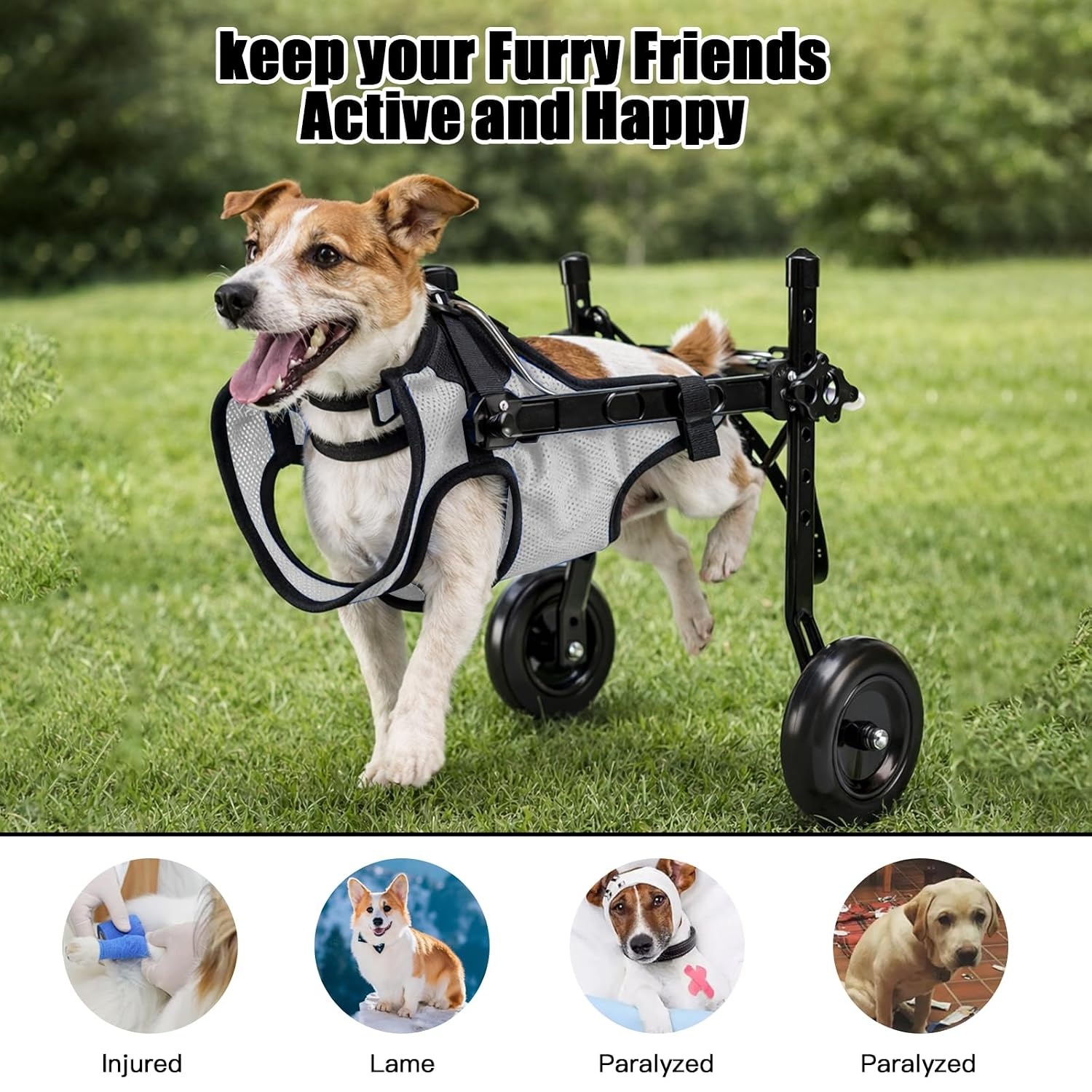 Dog Wheelchair for Rear Legs, Adjustable Mobility Aid Trolley with Breathable Mesh & Safety Buckles, Lightweight Aluminium Frame for Small Dogs/Cats, Ideal for Paralysis and Disability - Maat S (Gewicht: 3–5,5 kg)