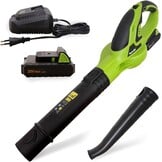 Accubladblazer 2,0 Ah | snellader | draadloze bladblazer voor tuin en gazon