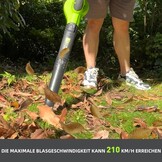 Accubladblazer 2,0 Ah | snellader | draadloze bladblazer voor tuin en gazon