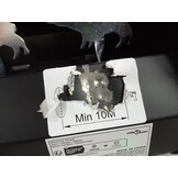 vidaXL Schietkast magnetisch met targets 4+1 wild zwijnontwerp