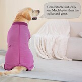 Honden Herstelpak na Operatie (56% Korting) - Comfortabel en Beschermend