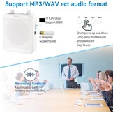Draagbare Spraakversterker met Microfoon & Bluetooth | Wit | 29% Korting