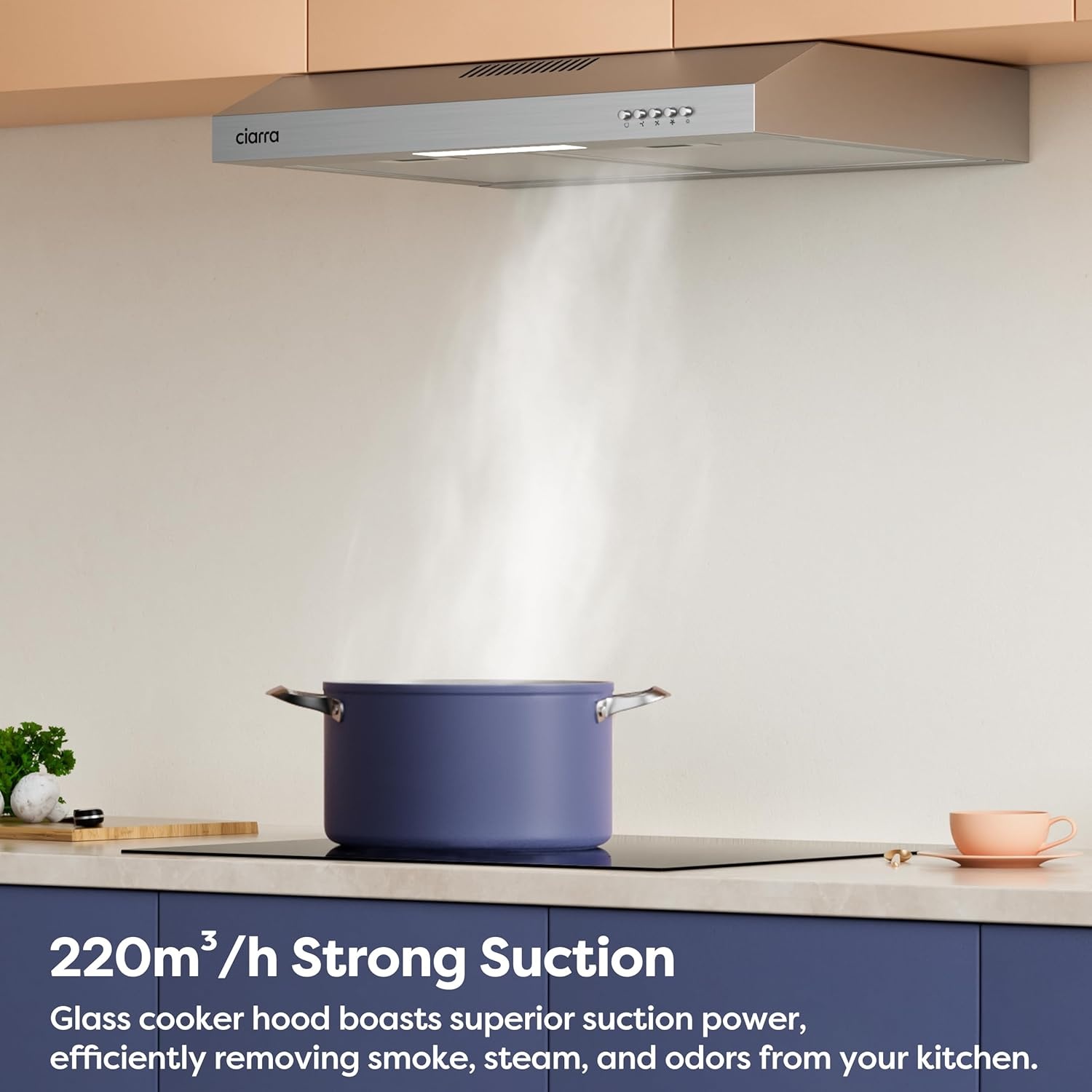 Afzuigkap RVS 60 cm Onderbouw - 49% Korting
