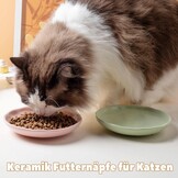 Keramische voerbakken voor katten, 6-delige set, pastelkleuren, platte kommen